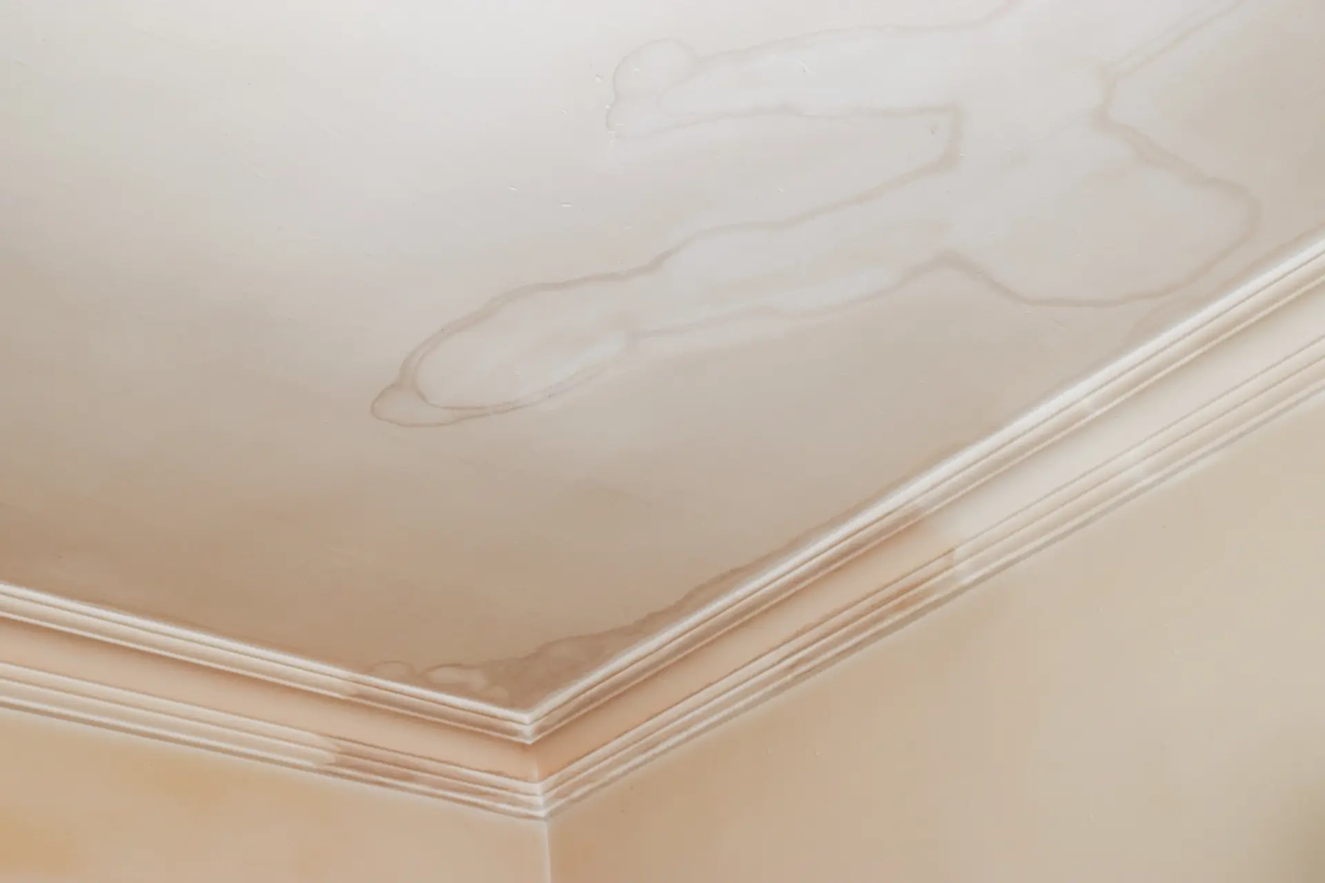 Vlhké škvrny na strope spôsobené zatekaním vody.