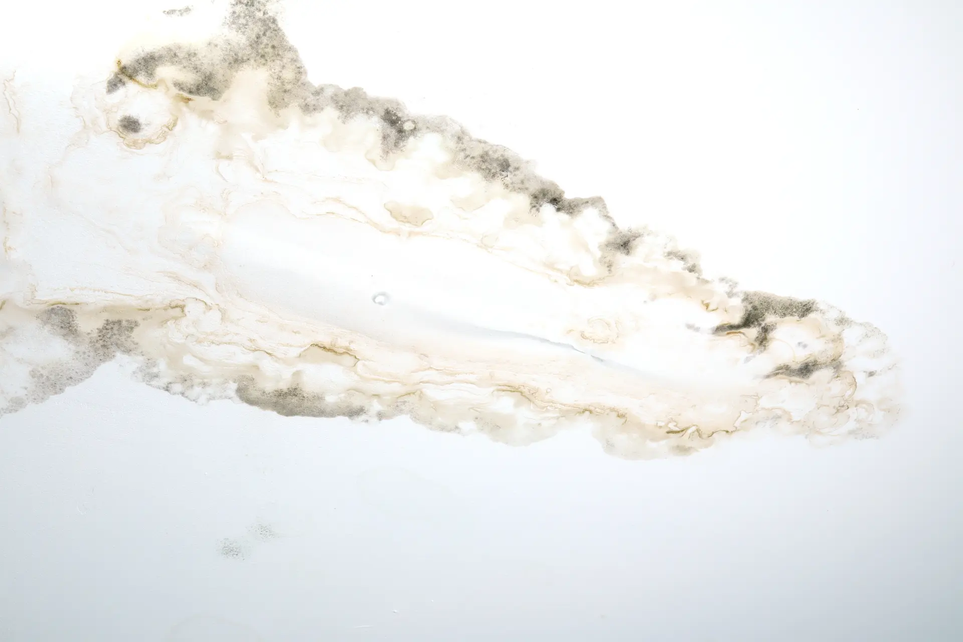 Pleseň a vlhkostné mapy na stene spôsobené dlhodobým zatekaním.