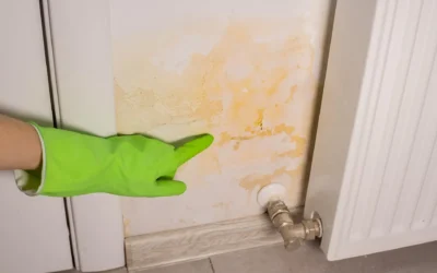 Únik vody v stene: ako ho spoznať skôr, než poškodí byt